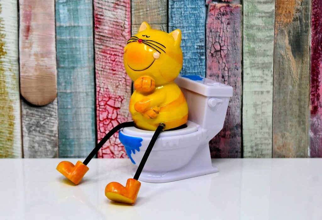 画像に alt 属性が指定されていません。ファイル名: litter-box-3298240_1280-1024x700.jpg